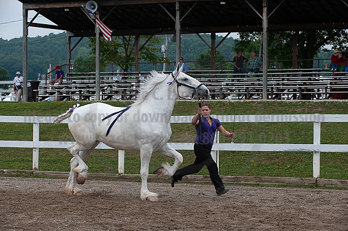 ACF_2012_SCL3381