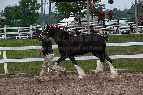ACF_2012_SCL3219
