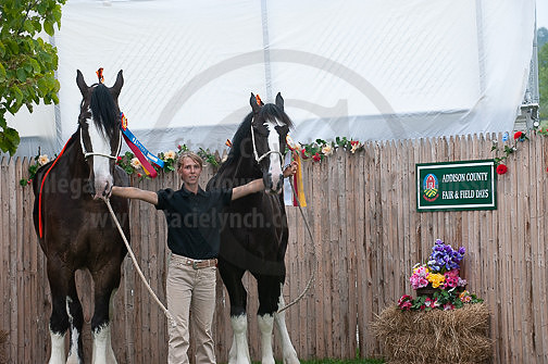 ACF_2012_SCL3497
