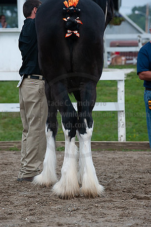 ACF_2012_SCL3213