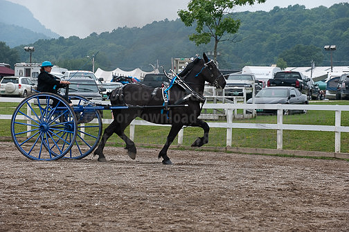 ACF_2012_SCL3578