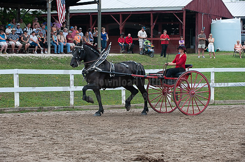 ACF_2012_SCL3557