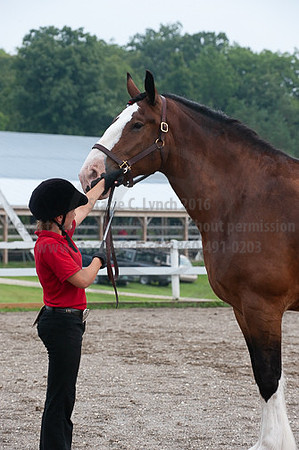 ACF_2012_SCL3069