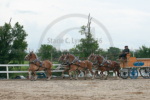 ACF_2012TDM_2547