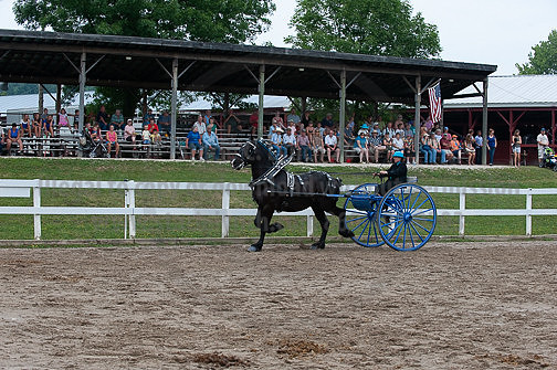 ACF_2012_SCL3526