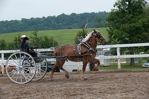 ACF_2012_SCL3681