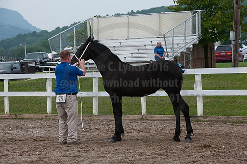 ACF_2012_SCL3268