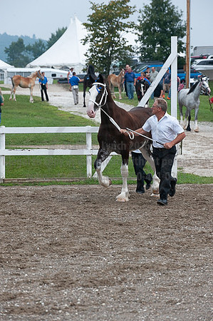 ACF_2012_SCL3195