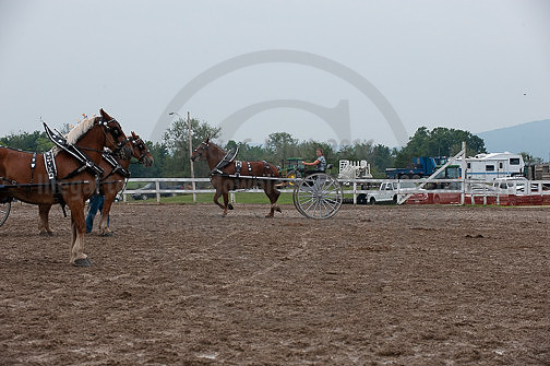 ACF_2012_SCL3505