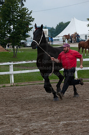 ACF_2012_SCL3358
