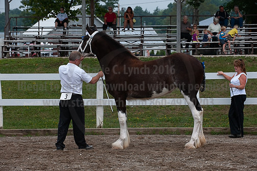 ACF_2012_SCL3229