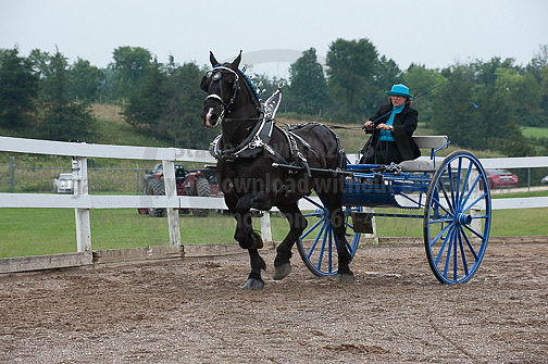 ACF_2012_SCL3561