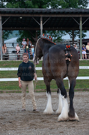 ACF_2012_SCL3096