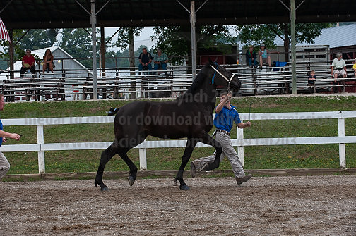 ACF_2012_SCL3190