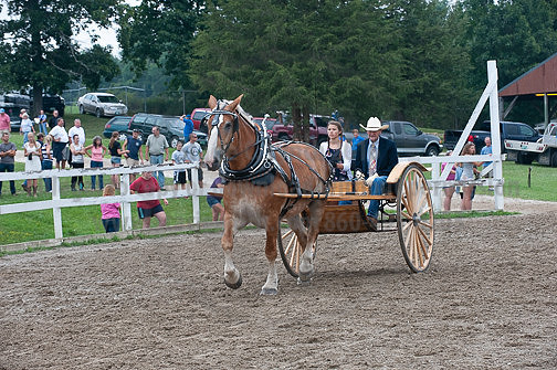 ACF_2012_SCL3696