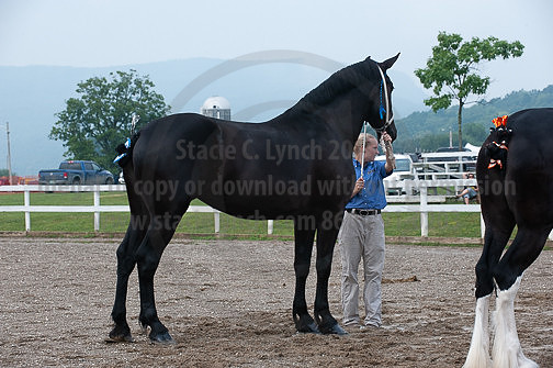 ACF_2012_SCL3142
