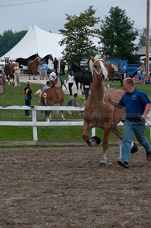ACF_2012_SCL3399