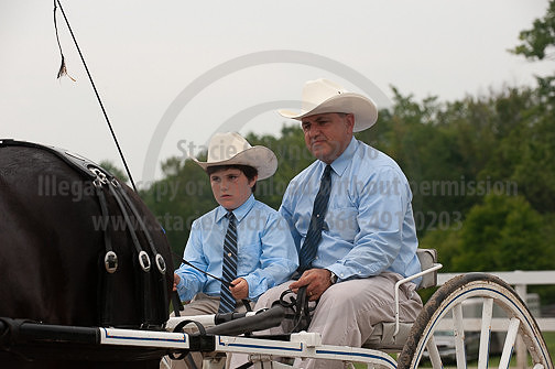 ACF_2012_SCL3687