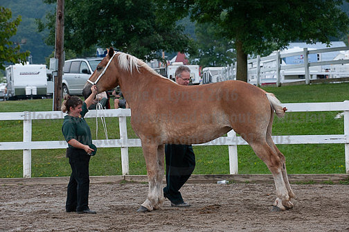 ACF_2012_SCL3351