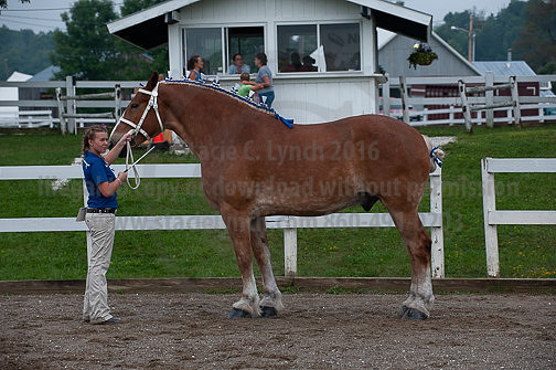 ACF_2012_SCL3105