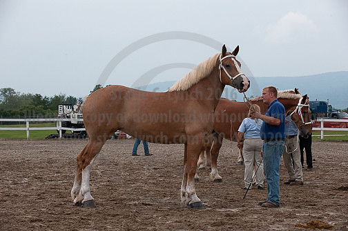 ACF_2012_SCL3413