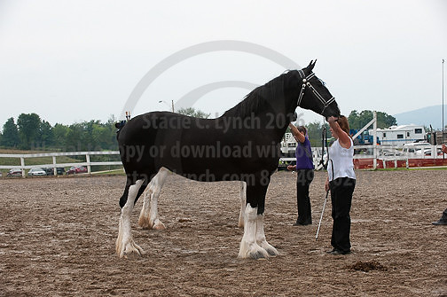 ACF_2012_SCL3396