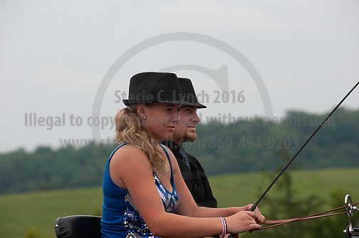 ACF_2012_SCL3663