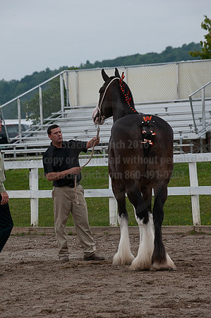 ACF_2012_SCL3339