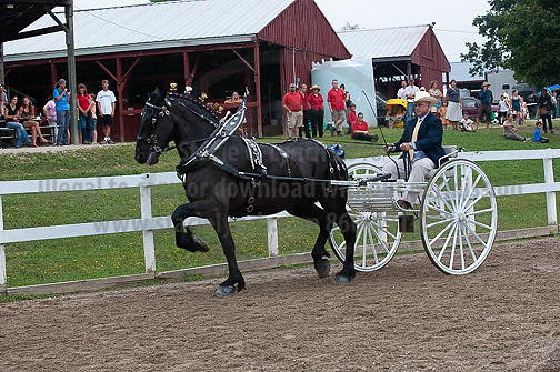 ACF_2012_SCL3868