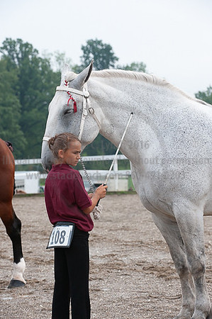 ACF_2012_SCL3066