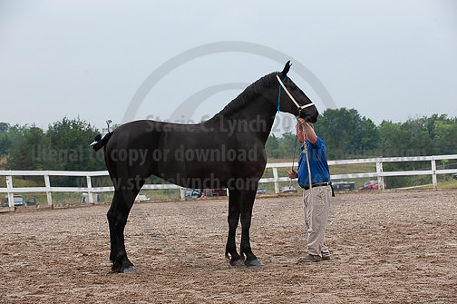 ACF_2012_SCL3435