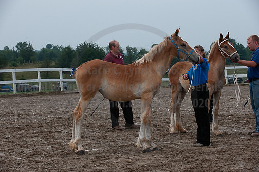 ACF_2012_SCL3249