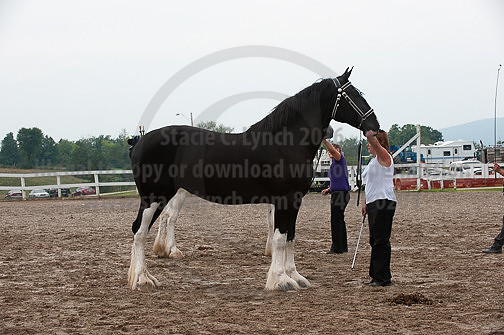 ACF_2012_SCL3397