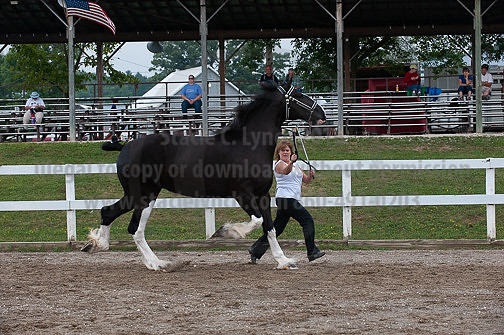 ACF_2012_SCL3385