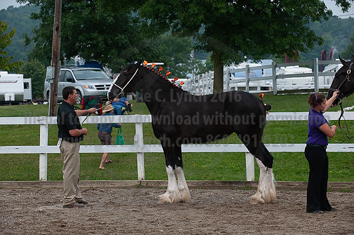 ACF_2012_SCL3223