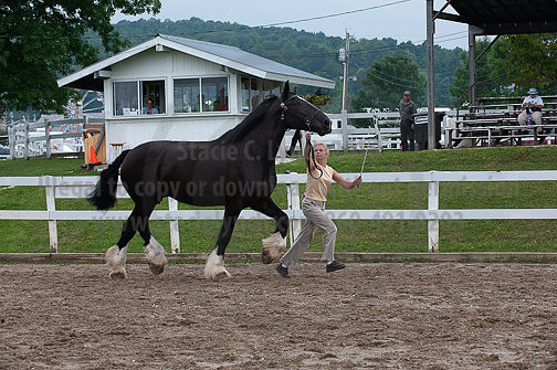 ACF_2012_SCL3445