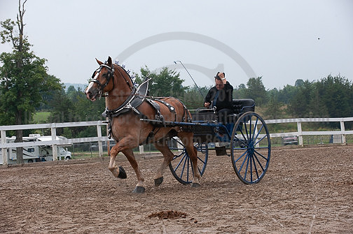 ACF_2012_SCL3858