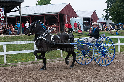 ACF_2012_SCL3864