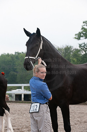 ACF_2012_SCL3129