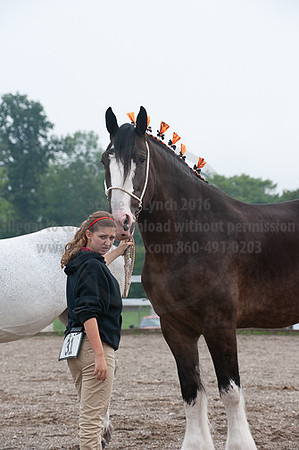 ACF_2012_SCL3065