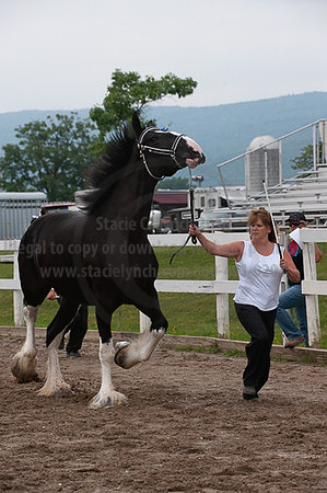 ACF_2012_SCL3393