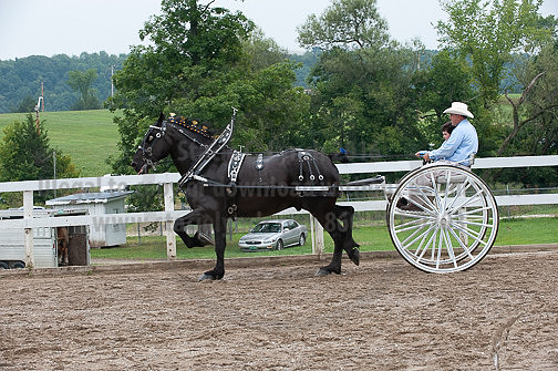 ACF_2012_SCL3640
