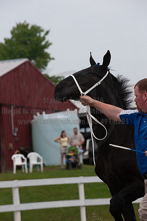 ACF_2012_SCL3261