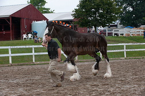 ACF_2012_SCL3332