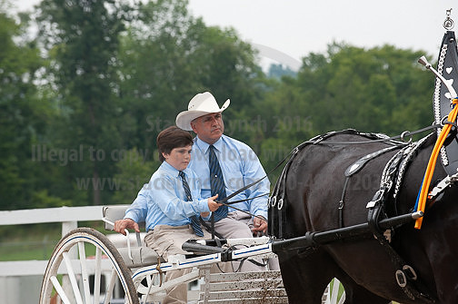 ACF_2012_SCL3667