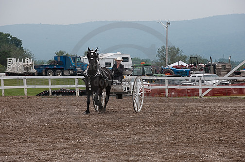ACF_2012_SCL3613