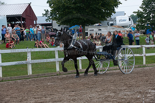 ACF_2012_SCL3709