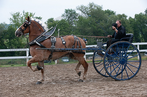 ACF_2012_SCL3861