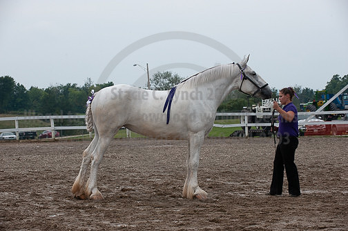 ACF_2012_SCL3388