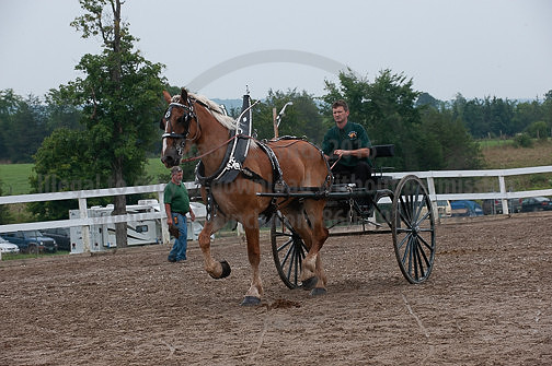 ACF_2012_SCL3789